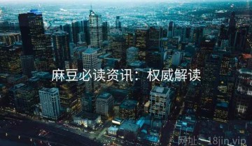 麻豆必读资讯：权威解读