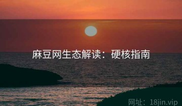 麻豆网生态解读：硬核指南