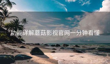功能详解蘑菇影视官网一分钟看懂