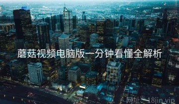 蘑菇视频电脑版一分钟看懂全解析