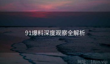 91爆料深度观察全解析