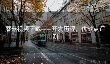 蘑菇视频下载——开发历程，优缺点评测