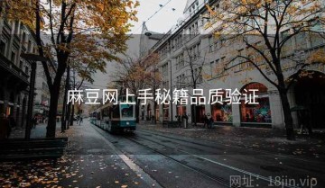 麻豆网上手秘籍品质验证