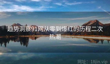 趋势洞察91网从零到爆红的历程二次热潮