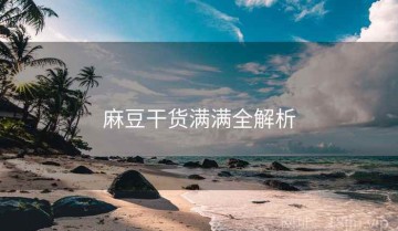 麻豆干货满满全解析