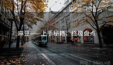 麻豆——上手秘籍，终极盘点
