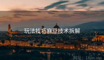 玩法技巧麻豆技术拆解