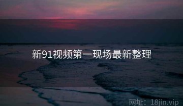 新91视频第一现场最新整理
