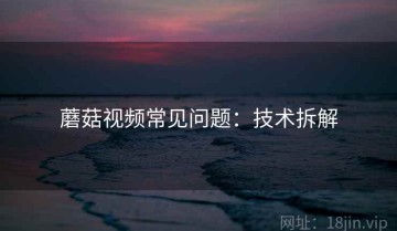 蘑菇视频常见问题：技术拆解