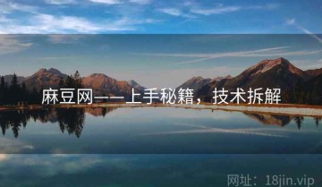 麻豆网——上手秘籍，技术拆解
