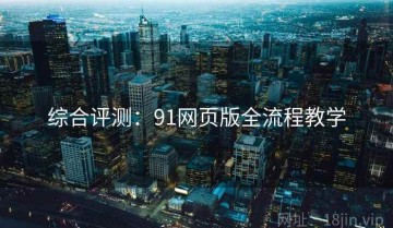 综合评测：91网页版全流程教学