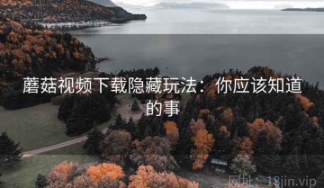 蘑菇视频下载隐藏玩法：你应该知道的事