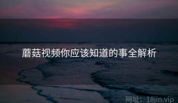 蘑菇视频你应该知道的事全解析
