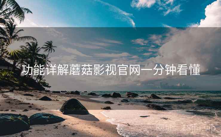 功能详解蘑菇影视官网一分钟看懂