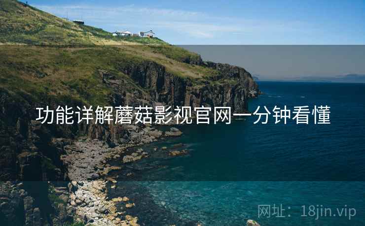 功能详解蘑菇影视官网一分钟看懂