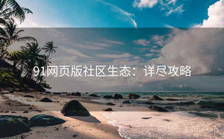 91网页版社区生态：详尽攻略