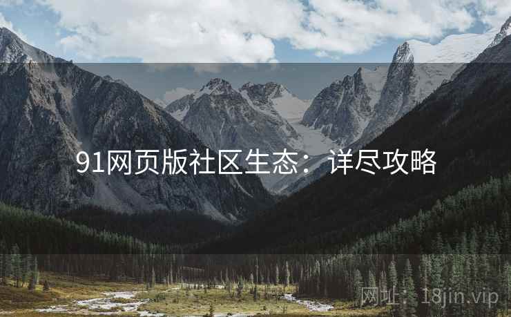 91网页版社区生态：详尽攻略