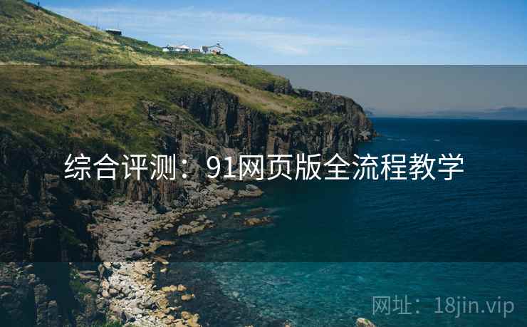 综合评测：91网页版全流程教学