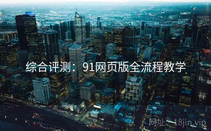 综合评测：91网页版全流程教学