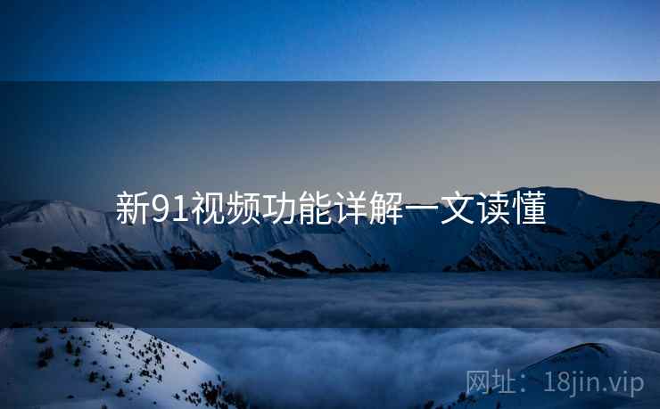 新91视频功能详解一文读懂