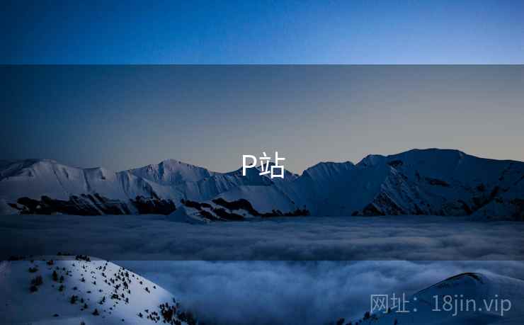 P站