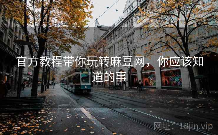 官方教程带你玩转麻豆网，你应该知道的事