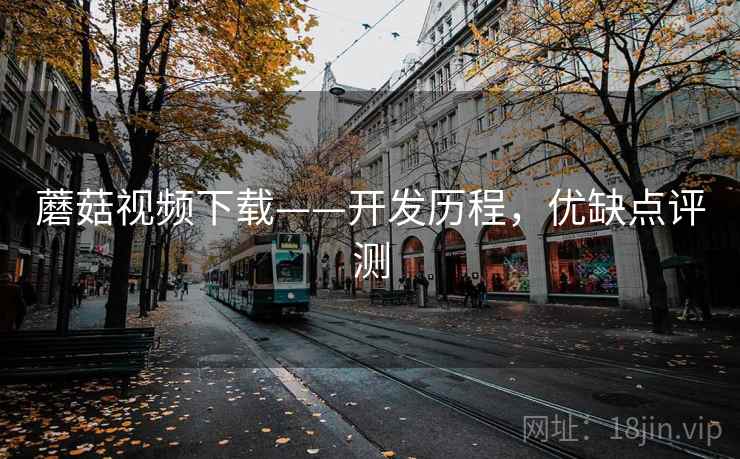 蘑菇视频下载——开发历程，优缺点评测