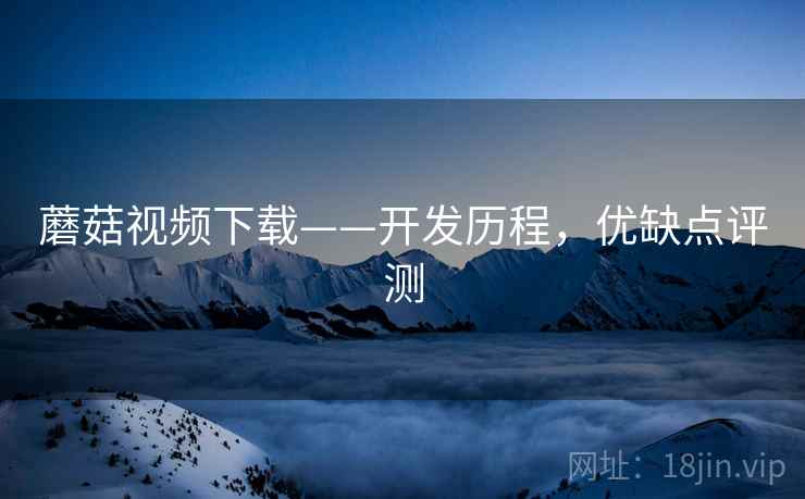 蘑菇视频下载——开发历程，优缺点评测
