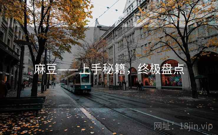 麻豆——上手秘籍，终极盘点