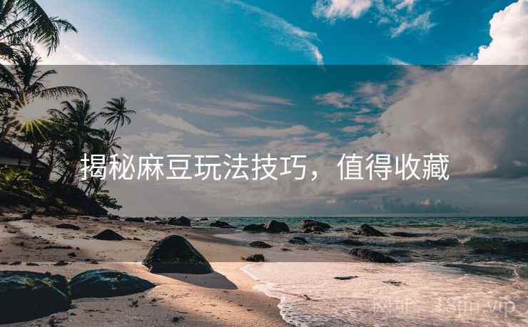 揭秘麻豆玩法技巧，值得收藏