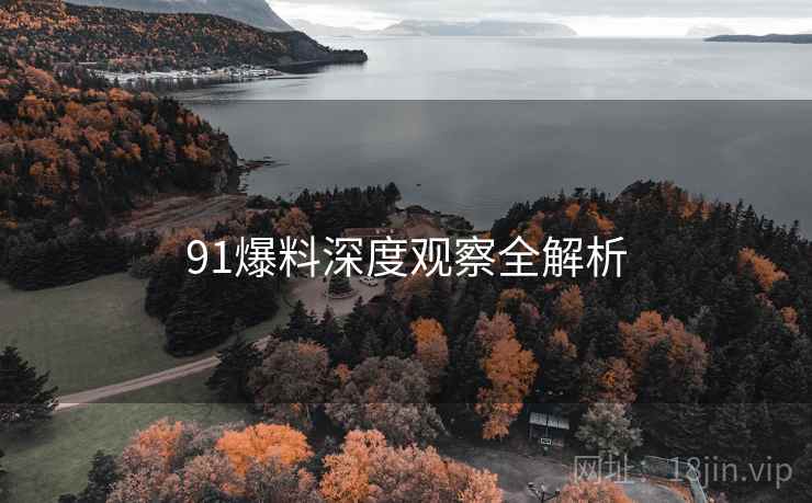 91爆料深度观察全解析