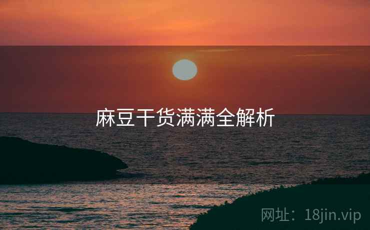 麻豆干货满满全解析