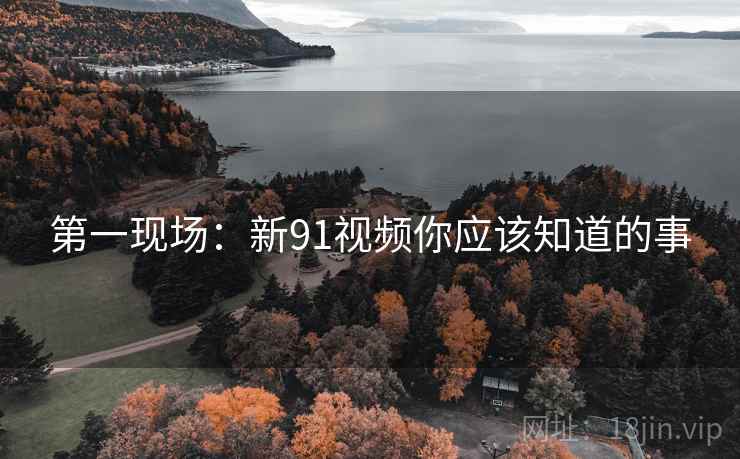 第一现场：新91视频你应该知道的事