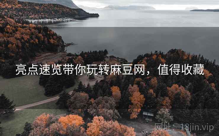 亮点速览带你玩转麻豆网，值得收藏