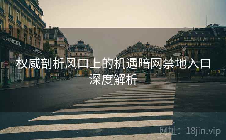 权威剖析风口上的机遇暗网禁地入口深度解析