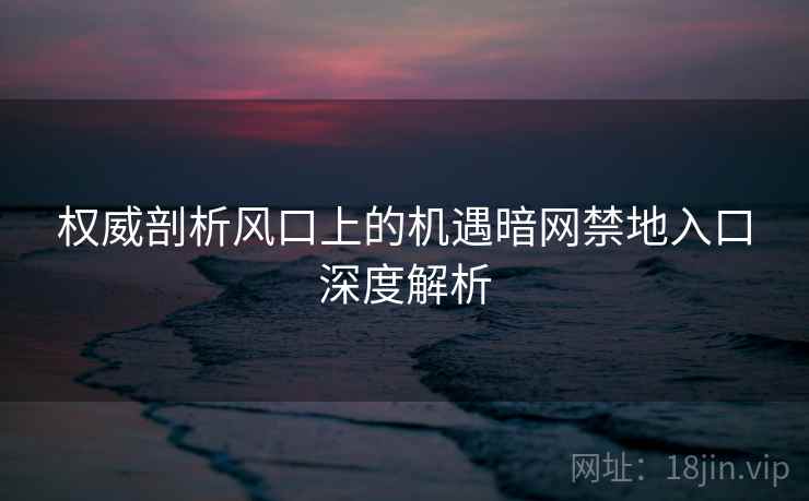 权威剖析风口上的机遇暗网禁地入口深度解析
