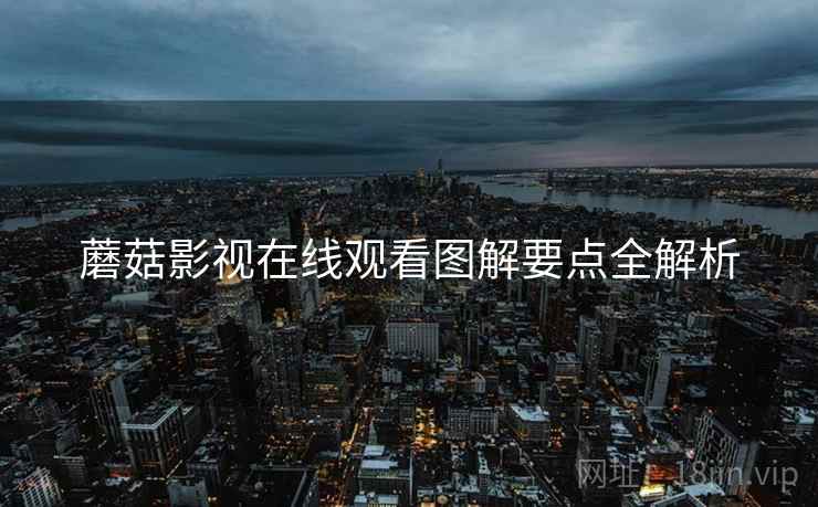 蘑菇影视在线观看图解要点全解析