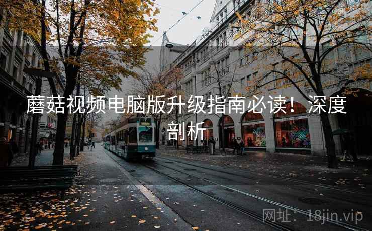 蘑菇视频电脑版升级指南必读！深度剖析