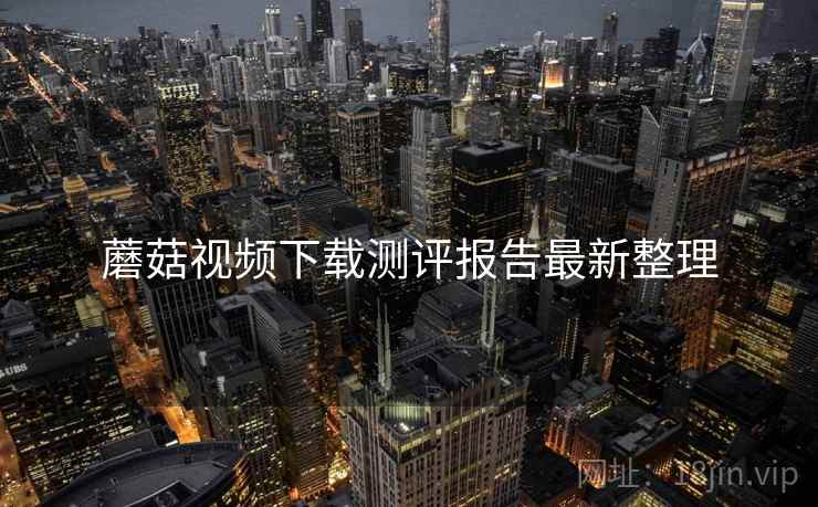 蘑菇视频下载测评报告最新整理
