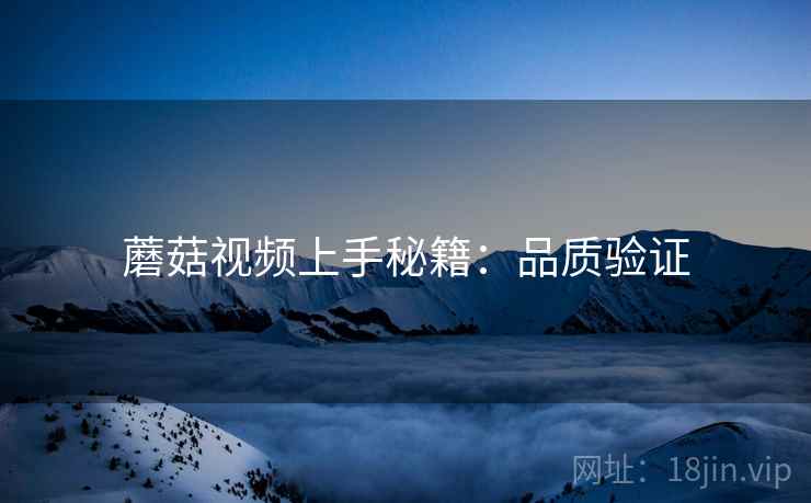 蘑菇视频上手秘籍：品质验证
