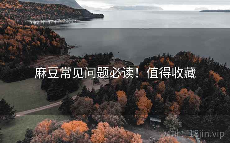麻豆常见问题必读！值得收藏