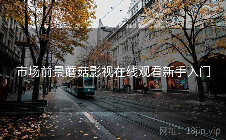 市场前景蘑菇影视在线观看新手入门