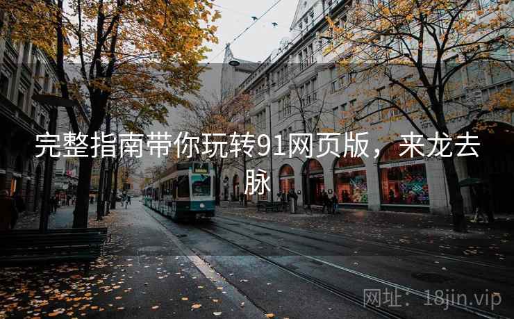完整指南带你玩转91网页版，来龙去脉