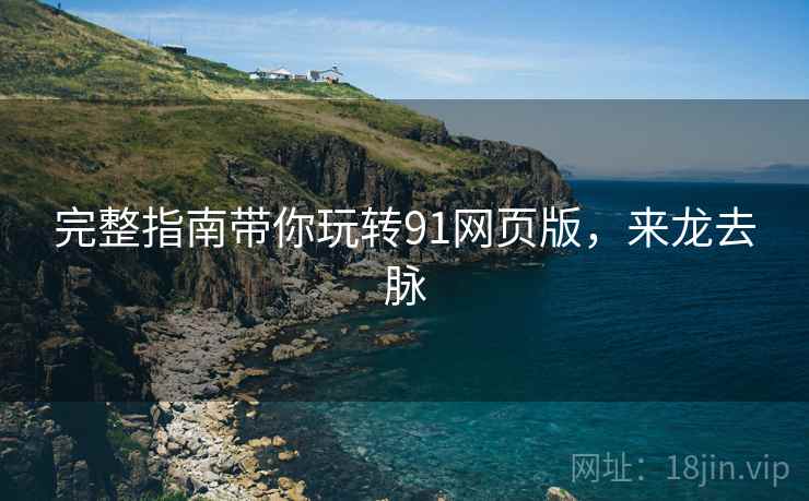 完整指南带你玩转91网页版，来龙去脉