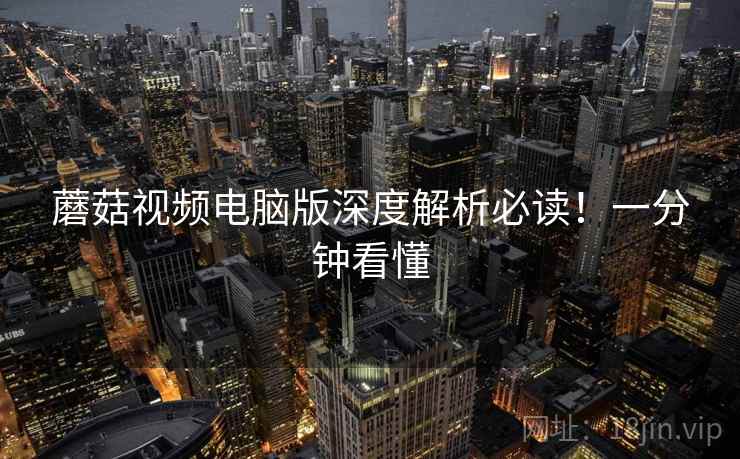 蘑菇视频电脑版深度解析必读！一分钟看懂