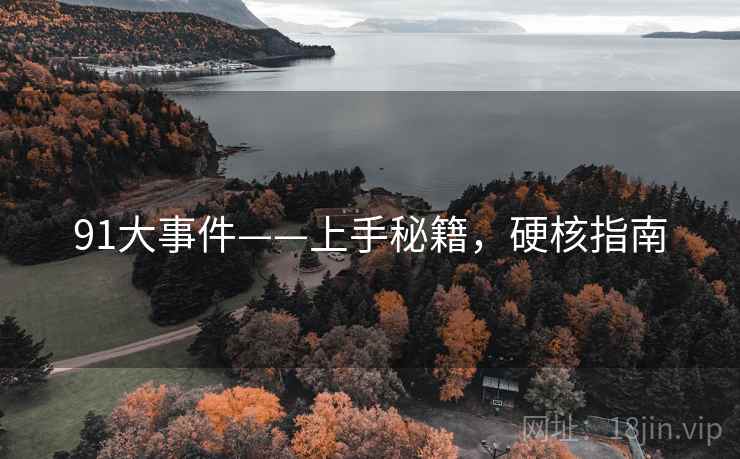 91大事件——上手秘籍，硬核指南